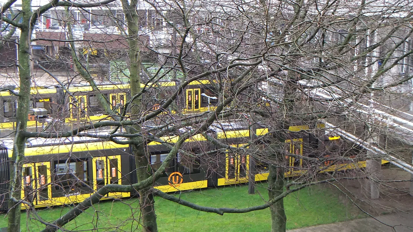 A stereo photo of a yellow tram behind bare branches, shown as its left and right frame